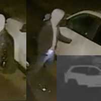 Police Seek Bucks County Auto Burglar
