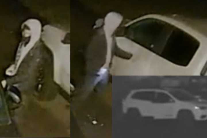 Police Seek Bucks County Auto Burglar