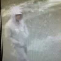 <p>Surveillance footage of the suspect in a car burglary at a local business in Norwalk.</p>