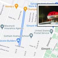 Violent Carjacking: Long Island Man Pulled From Car, Kicked, Punched, Police Say