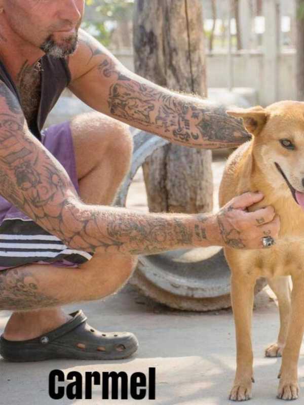 Westchester SPCA Rescuing Victims Of The llegal Meat Trade