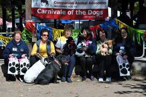 Don't Miss Carnivale Of The Dogs At Ridgewood Duck Pond