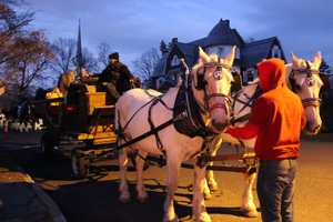Carriage Rides, Bonfire To Brighten Pequot Library's Holiday Caroling Party