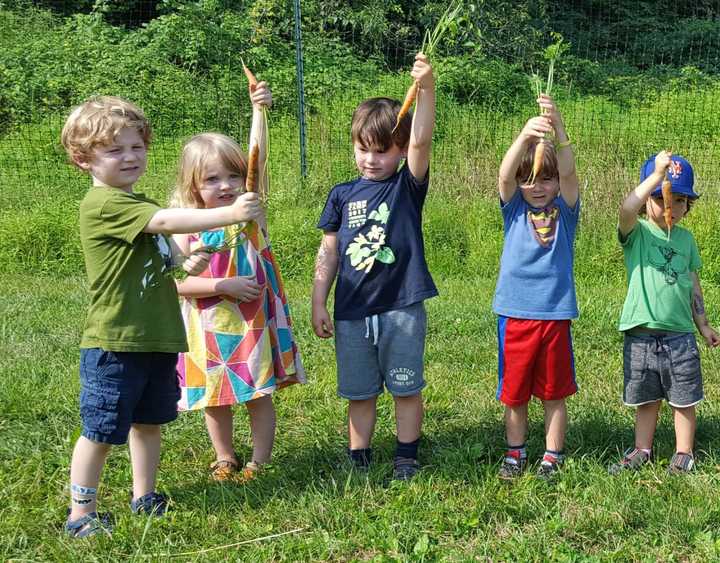 Common Ground Farm is hosting a harvest gala in October.