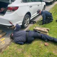 <p>Suffolk County Police officers work to free a kitten stuck in a wheel well in North Babylon Thursday, June 2.</p>