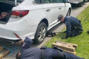 Police Rescue Kitten Stuck In Wheel Well In North Babylon