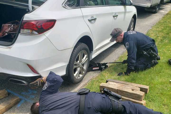 Kitten Stuck In Wheel Well Rescued On Long Island