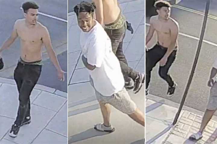 SEEN THEM? Police Investigating Teaneck Arson Seek Two For Questioning