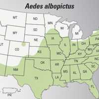 <p>This CDC map shows the potential range of Aedes albopictus -- Aedes aegypti’s mosquito cousin -- that could also spread the Zika virus. Shaded areas of the map do not indicate that there are infected mosquitoes in the area.</p>