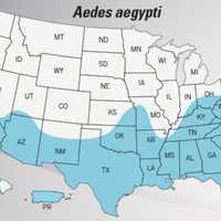 <p>The Centers for Disease Control and Prevention&#x27;s newest map of the range of Aedes aegypti, the mosquito that carries Zika, shows it reaches much farther north than previously estimated. Shaded areas of the map do not indicate that there are infected</p>