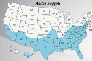 New York Now Within Range Of Zika Mosquito, CDC Says