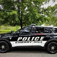 Witnesses Sought In Deadly Cherry Hill Thanksgiving Hit-Run