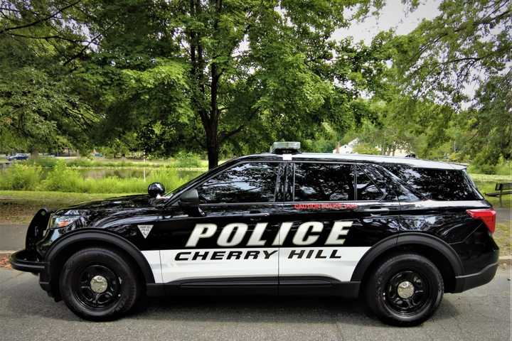 Witnesses Sought In Deadly Cherry Hill Thanksgiving Hit-Run