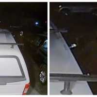 Car Break-In Caught On Video In Delaware County
