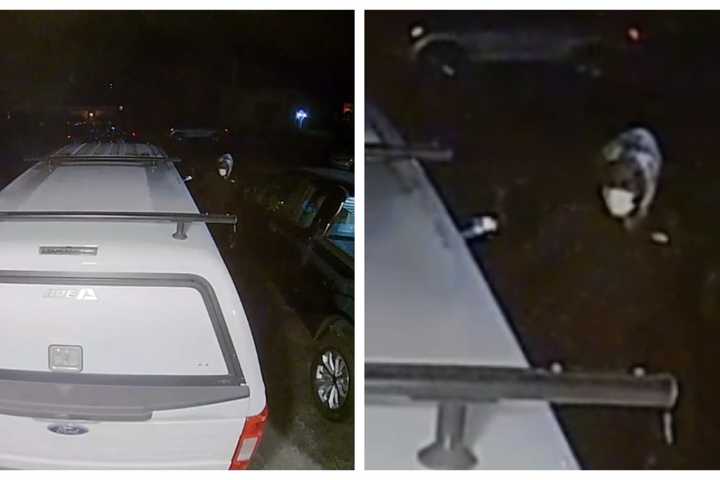 Car Break-In Caught On Video In Delaware County