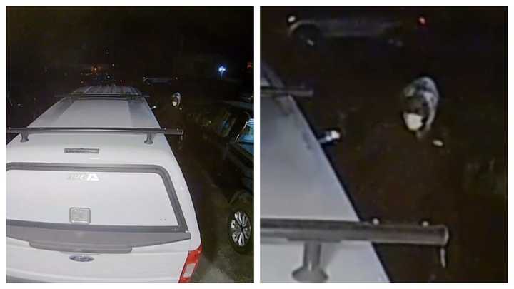 Doorbell camera footage released by Upper Chichester police.