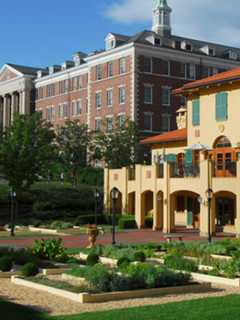 CIA In Hyde Park Celebrates 70 years Of Creating Great Chefs, Food
