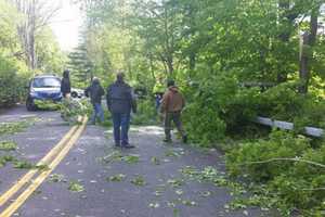 Clarkstown Workers, Residents Help Clear Fallen Tree