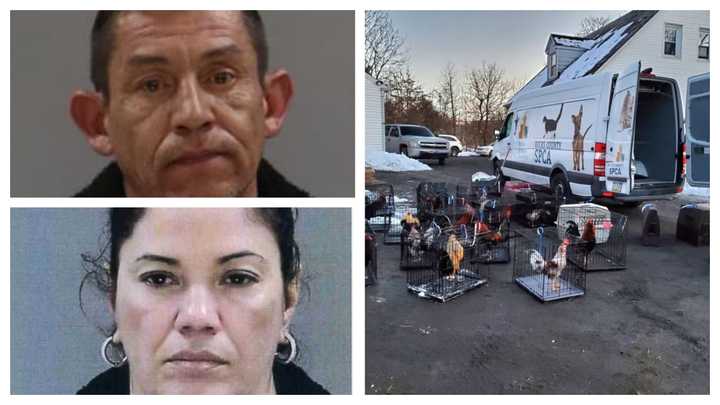 Manfid Duran; Mara Duran; scene from the Doylestown cockfighting bust.&nbsp;