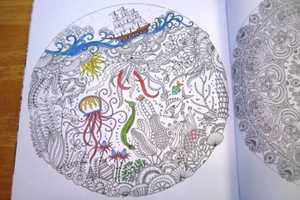 Coloring For Adults Will Be Happening At Red Hook Library