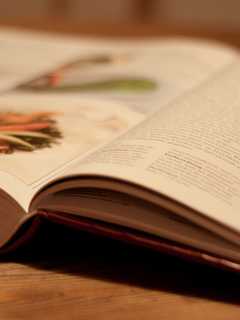 Get Ready For The Holiday Cookbook Cook-Off At Nyack Library