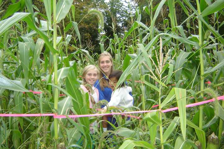 Lewisboro Library Needs Community's Help For Annual Fair