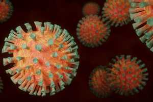 COVID-19: Here Are Symptoms For New Strain That's Surged To Leading Cause Of US Infections