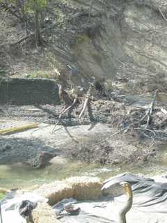 County Launches $1M Repair Project On Rockland Creek