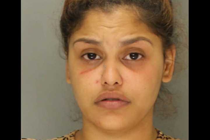 Authorities: Alarmed PA Neighbors Call Police On Woman Yelling, Pointing Shotgun