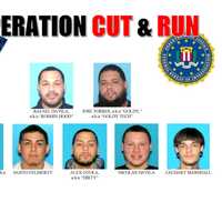 <p>The seven men that police captured as part of Operation Cut and Run. More than 70 departments took part in the investigation.</p>