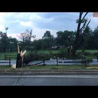 <p>Storm damage along Harrisburg Pike in Lancaster.</p>