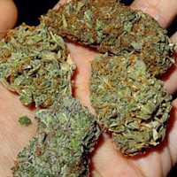 Here's How NJ's End To Small-Time Pot Busts, Pending Cases Immediately Affects Adults, Teens