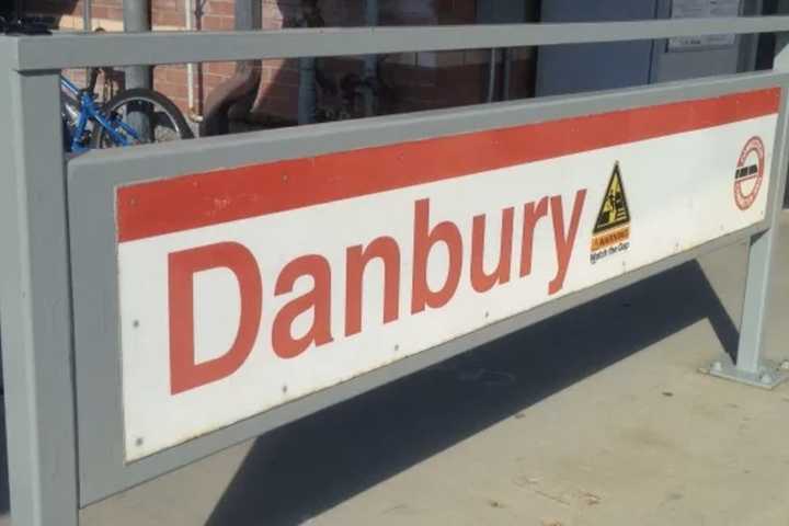 Downed Tree Causes Delays On Metro-North Danbury Branch