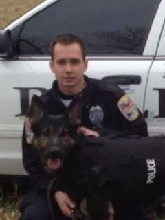 Danbury Rallies To Help As Police K-9 Koda Retires Due To Brain Tumor