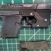 <p>The gun that was recovered from the Virginia woman.</p>