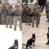 <p>SWAT team at the American Dream Mall.</p>