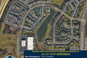 'Late-Term Fetus' Found In Northern Virginia Pond: Police