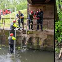 Montco Firefighters Rescue Trapped Deer From Schuylkill Canal