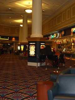 15-Theater Complex In White Plains Cited For Pest Infestation