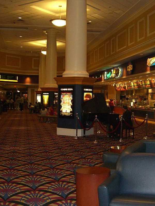 15-Theater Complex In White Plains Cited For Pest Infestation