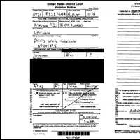 UPDATE: Springsteen Was 'Visibly Swaying,' Refused Breath Test, Federal Summonses Say