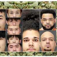 JOINT CUSTODY: 1,750 Pounds Of Pot Seized, 13 Busted In Bergen Over Past Six Weeks