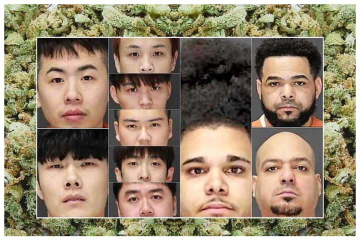 JOINT CUSTODY: 1,750 Pounds Of Pot Seized, 13 Busted In Bergen Over Past Six Weeks