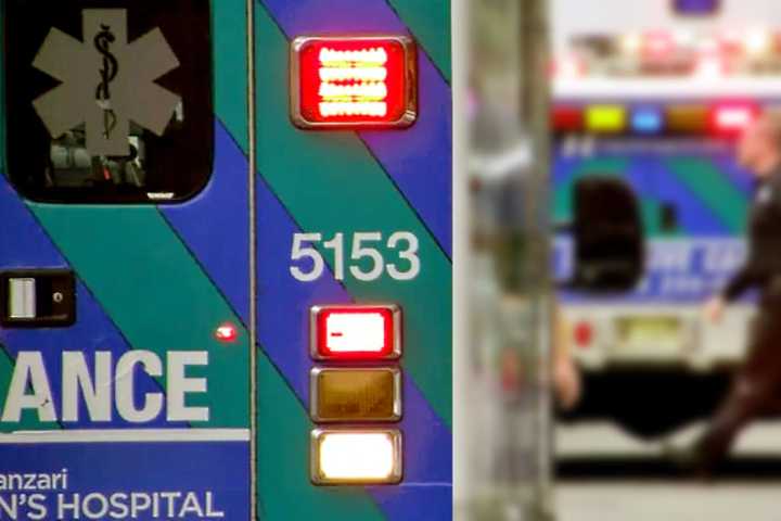 Toddler Struck In Emerson