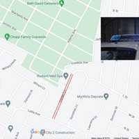 Dead Dogs Discovered In Car On Long Island