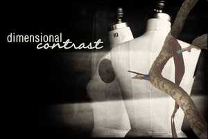 Danbury Hosts 'Dimensional Contrast' Art Talk