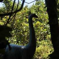 Westchester's Lasdon Park Home To Dinosaur Garden