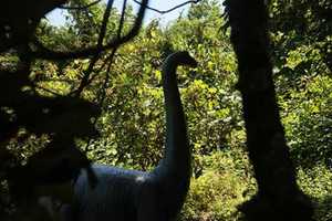 Somers'  Lasdon Park Home To Dinosaur Garden