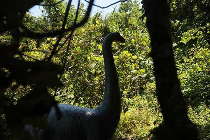 Lasdon Park Home To Dinosaur Garden