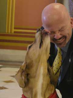Stratford State Rep. Gresko Raises Awareness Of Importance Of Therapy Dogs